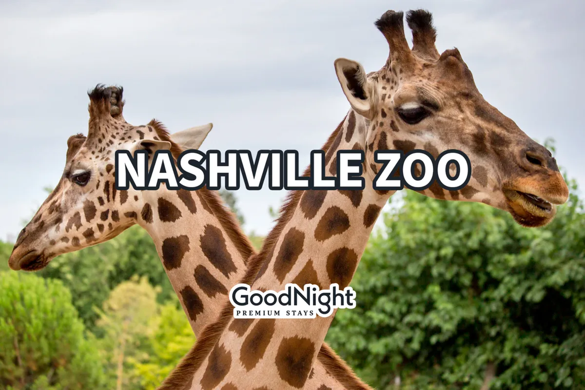 This exterior image captures giraffes in a lush, green setting at the Nashville Zoo, with a text overlay referencing the location. The scene is bright and joyful, emphasizing the zoo as a family-friendly destination.